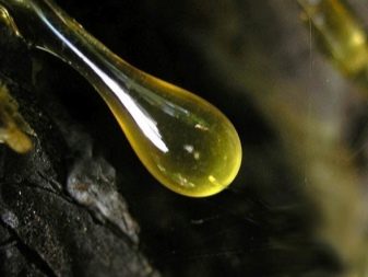 Садовая мебель из дерева: плюсы и минусы