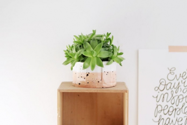 Как сделать горшки для цветов своими руками? 9 мастер-классов