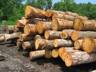 Садовая мебель из дерева: плюсы и минусы
