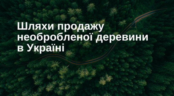 Пути продаж необработанной древесины в Украине.
Пути продаж необработанной древесины в Украине.
