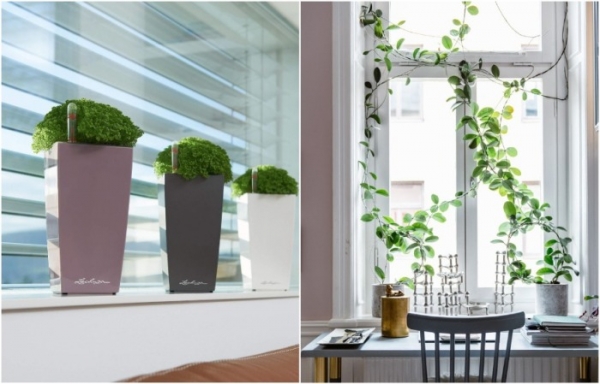 10 идей, чем заменить классические шторы на окнах, чтобы получить вау-эффект 10 идей, чем заменить классические шторы на окнах, чтобы получить вау-эффект