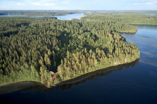 Загородная деревянная вилла в стиле амбара с наклонной крышей