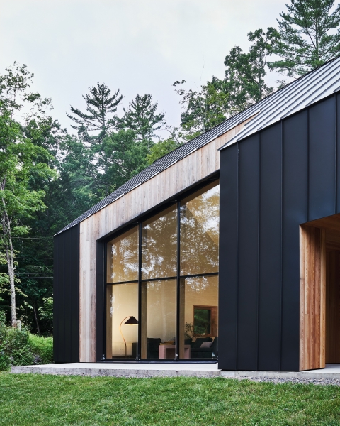 Дизайнерский пассивный дом с элементами стиля Mid-century Modern Дизайнерский пассивный дом с элементами стиля Mid-century Modern