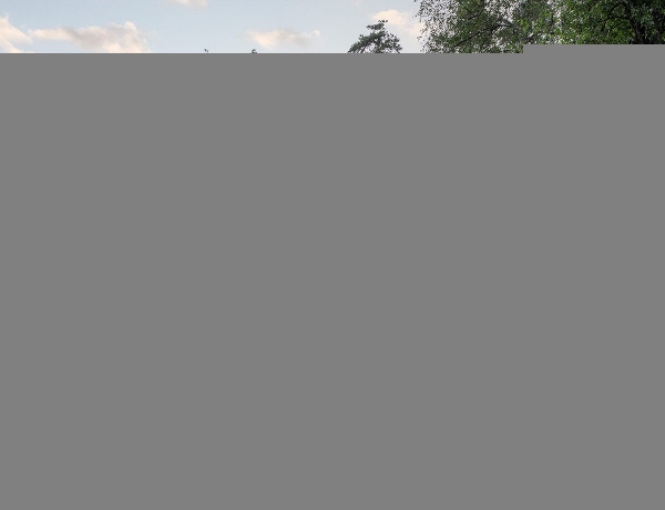 Вилла с интровертным характером среди дикой природы заповедника Вилла с интровертным характером среди дикой природы заповедника