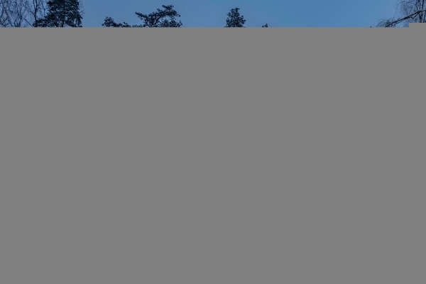 Вилла с интровертным характером среди дикой природы заповедника Вилла с интровертным характером среди дикой природы заповедника