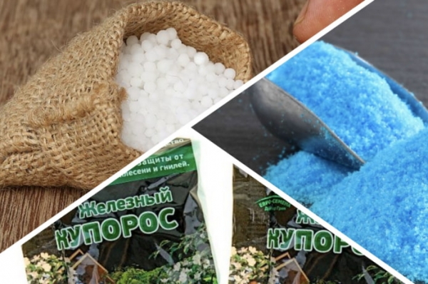 Как обработать сад осенью?